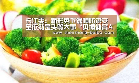 长江委：新形势下保障防洪安全依然是头等大事‘贝博体育App下