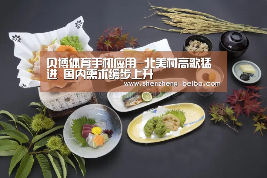 贝博体育App下载