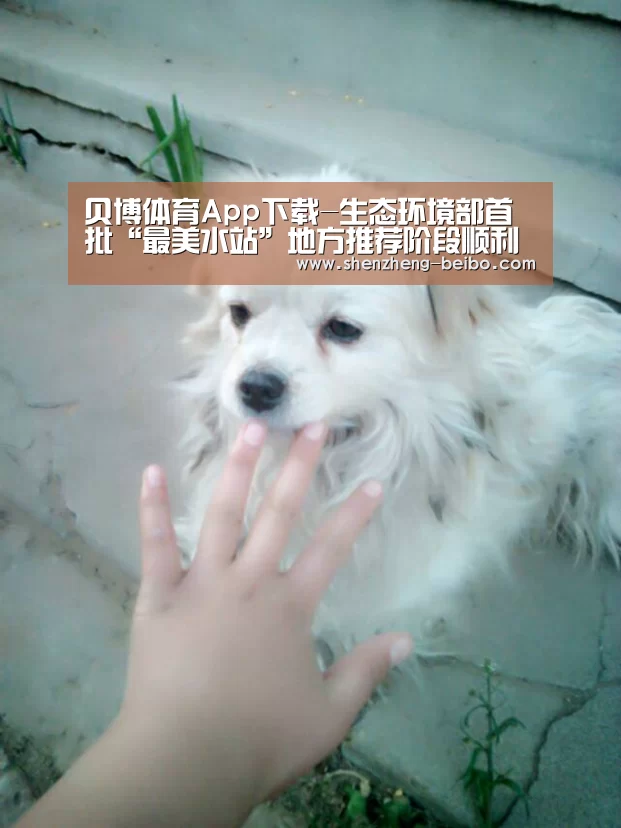 贝博体育App下载