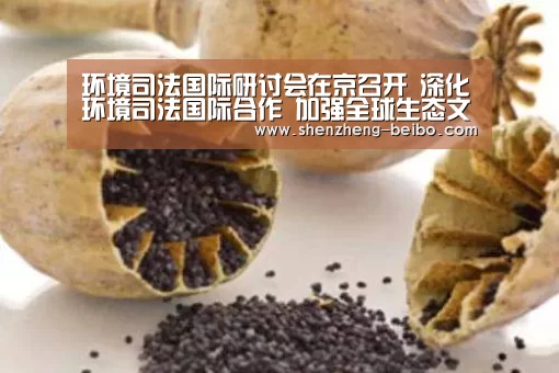 贝博体育App下载